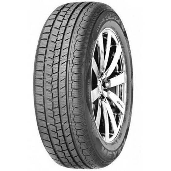 Шина Roadstone Eurovis Alpine Wh1 225/70R16 103H