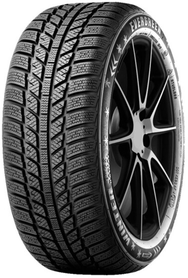 Шина Evergreen Ew62 205/65R16 95H