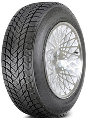 Шина Landsail Winter Lander 205/50R17 93H